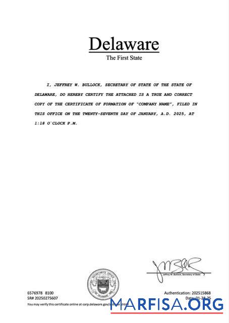 Realistic USA Delaware registration certificate Word and PDF template